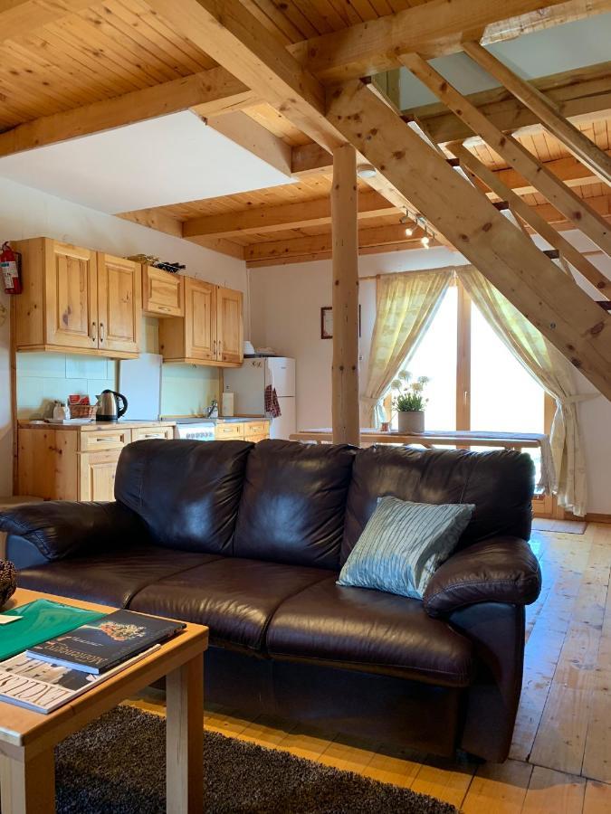 Mountain Vista Chalet Жабляк Экстерьер фото