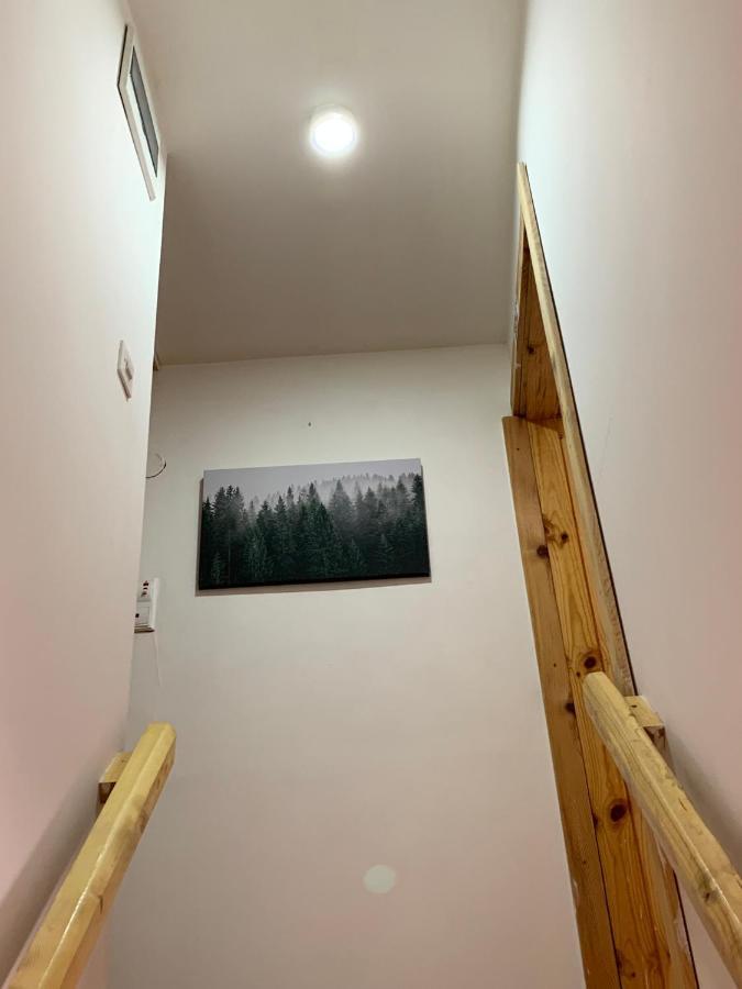 Mountain Vista Chalet Жабляк Экстерьер фото